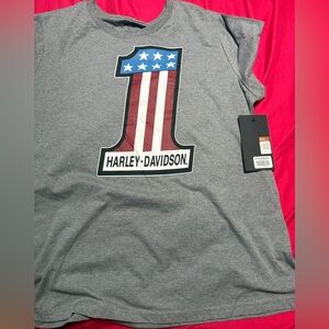 Harley-Davidson Gray Womens Shirt